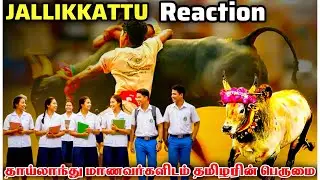 ஜல்லிக்கட்டு Jallikkattu Reaction | Tamil Culture Explained to Foreigners 
