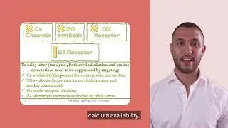 Tocolytic Drugs | Prof. Yasin I. Tayem