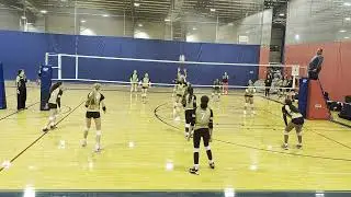 GP 14 State Black vs GP 14 Local Gold