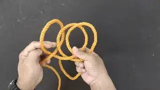 SHEEPSHANK