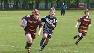 Panthers Take On The Giants Away From Home In Thriller