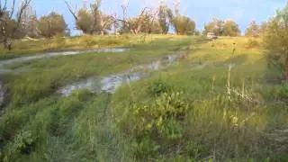 MOV01644