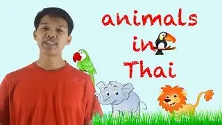 Learn Thai animals vocabulary + pronunciation