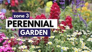 Create a Zone 3 Perennial Garden With Me