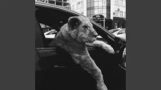 power of dominance