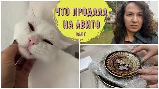 Новые продажи на Авито | Гуся теперь живёт в башмаках | Почему не хочу идти к стоматологу