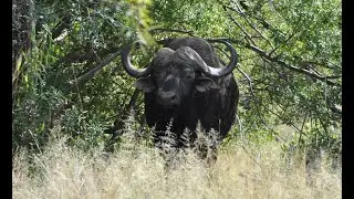 Outdoor Quest TV Hunting Adventures TV Commercial 2026