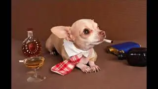 Smart Tv | Weed, Wine and Cigarettes | Rossow Radio #instrumental #instrumental #music #funk #blues