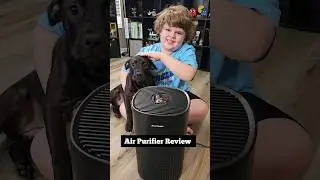 Puro Air Review for Allergies & Pet Dander