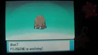 Как эволюционировать Пилосвайна в Мамосвайна &mdash; Pokemon Heart Gold и Soul Silver