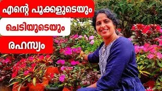 എന്റെ പൂക്കളുടെ രഹസ്യം|secret of my flowers