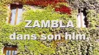 9 - ZAMBLA &agrave; la fen&ecirc;tre
