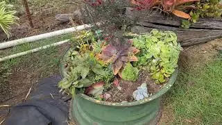 Kula Country Farm Maui