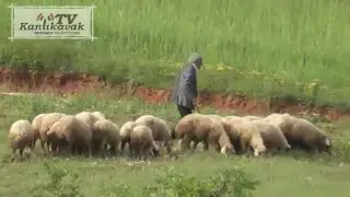 Kanlıkavakda Bahar Günleri Yıl 2013
