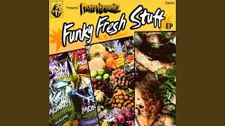 Funky Fresh Organ (Original Mix)
