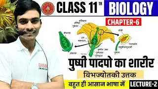 class 11 biology chapter 6 hindi medium विभज्योतकी उत्तक |पुष्पी पादपों का शारीर Class 11th Biology|