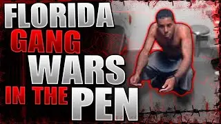Gang Wars In Florida Prisons