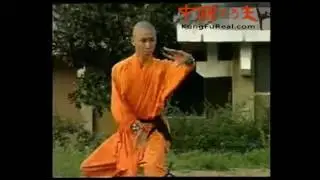 chinese kung fu---shaolin dahong quan training