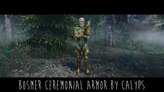 Skyrim Mod | Bosmer Ceremonial Armor
