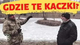 Gdzie te kaczki?