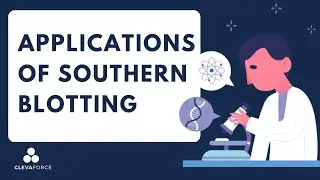 Applications of Southern Blotting​