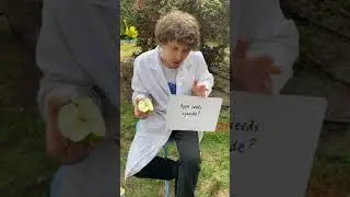 Действительно ли семена яблок содержат цианид? #шорты