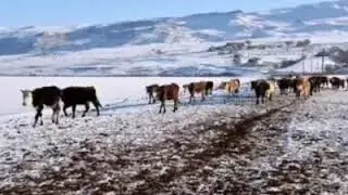 Erali kayalı su koyu