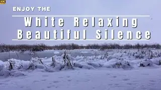 Embracing Stillness - Conquering Anxiety in the Snowy Silence of Loneliness