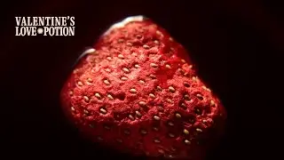 Valentine's Love Potion &hearts;️ &ndash; Coco Berry Mango + Hibiscus
