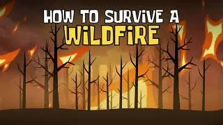How to Survive a Wildfire (Top Tips and Safety Strategies during a Wildfire) | Animated Science