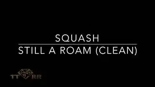 Squash - Still A Roam (TTRR Clean Version)