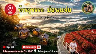 Ep. 90 บ้านภูหมอก ม่อนแจ่ง เชียงใหม่ วิวบนภูเขาสูง 360° อากาศเย็นสบาย ที่พักสวย มุมถ่ายรูปเพียบ