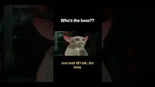 Doctor Who: The Star Beast - Who&rsquo;s the Boss??