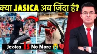 Jessica की मौत की Viral Story 🐬 | Jessica Dolphin Real Truth | Hindi Explanation