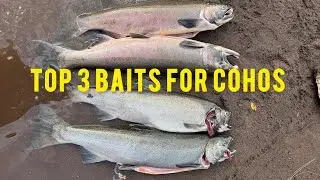 3 СПОСОБА ПОПОЙМАТЬ КИХУЯ — и ЧЕГО НЕЛЬЗЯ ДЕЛАТЬ!