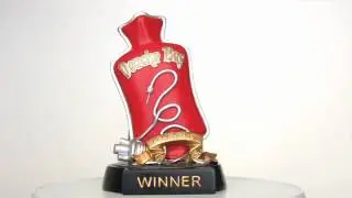 Douchebag Award
