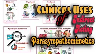 Parasympathomimetics: Clinical Uses of Indirect acting cholinergic drugs