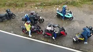 Naringgul