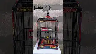 Sangkar pasama No2 Ruji fiber Warriors pasama WPI merah