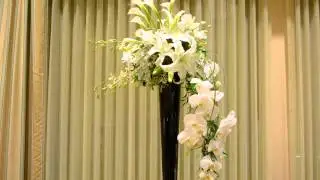 Phillip's Flowers and Gifts on The Best of Chicago