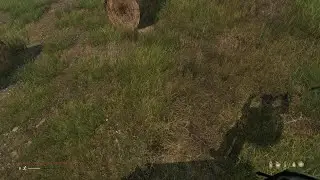 Dayz Happy Feet