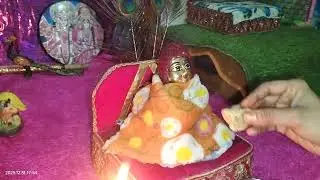 ठाकुर जी की रात्रि सेवा 🌺🌺 राधे राधे 