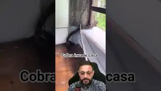 Cobra invade casa...😱😱😱
