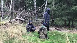 Aktivisten protestieren gegen Rodung im Herrenwald
