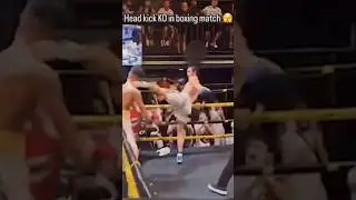 Rare Boxing Headkick 🤦&zwj;♂️🤣 #mma #fighting #shorts #boxing #martialarts martialarts