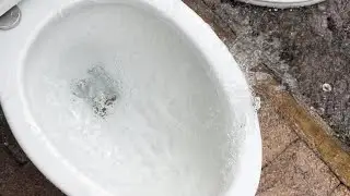 2017 Costco WaterRidge Dual Flush toilet flushing on a mid tank!