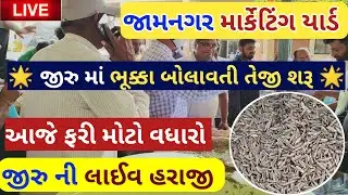 live cumin trading in Jamnagar APMC||Jeera Na bhav||May 16, 2024