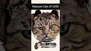 ✨🐾 The 2025 Rescue Cat Collection! 🐾✨