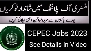 Ministry of Planning Development Special Initiatives Job 2023 china Pakistan coridor supportproject