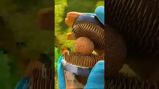 #cbum